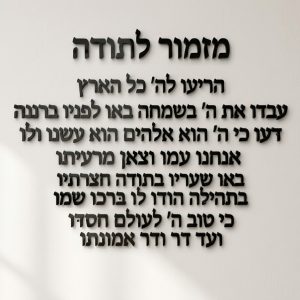 מזמור לתודה – אותיות מרחפות תלת־מימד לקיר – אותיות מרחפות תלת־מימד מאקריליק לקיר